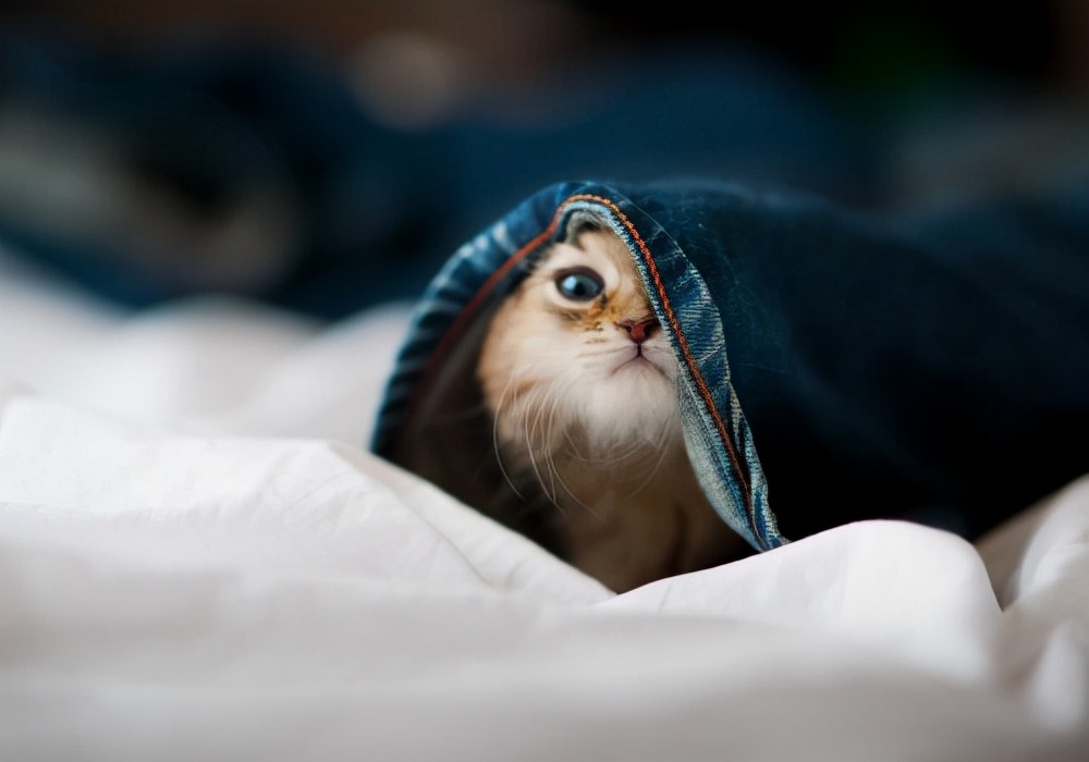 女人生气的时候怎么哄最好,水瓶座女人生气了怎么哄