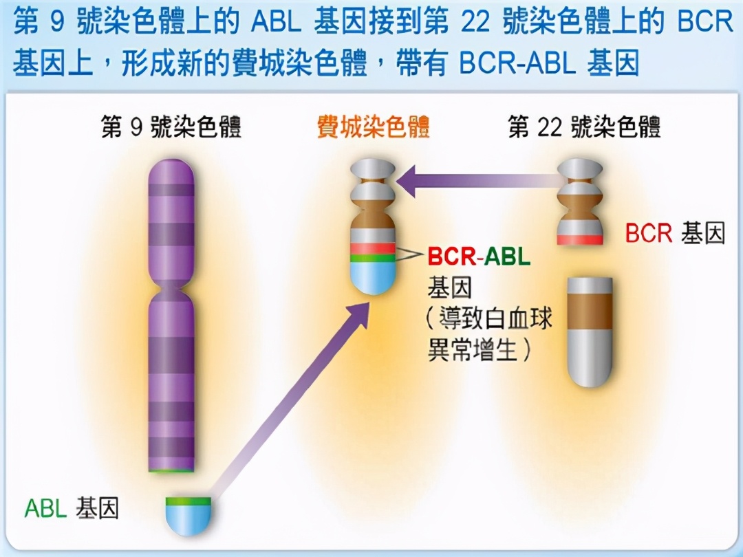 马斯克15年内培育出恐龙,埃隆马斯克复活恐龙计划
