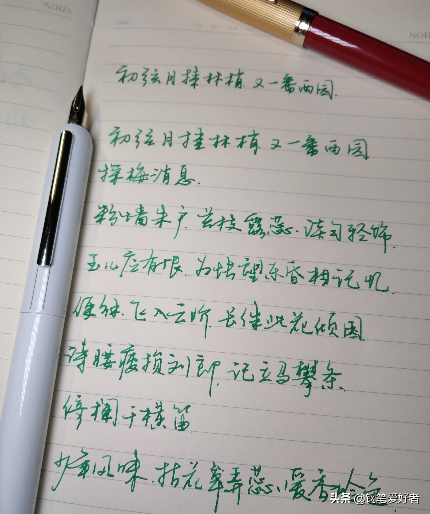 凌美焦点cc钢笔测评,lamy凌美钢笔尖粗中细怎么分辨