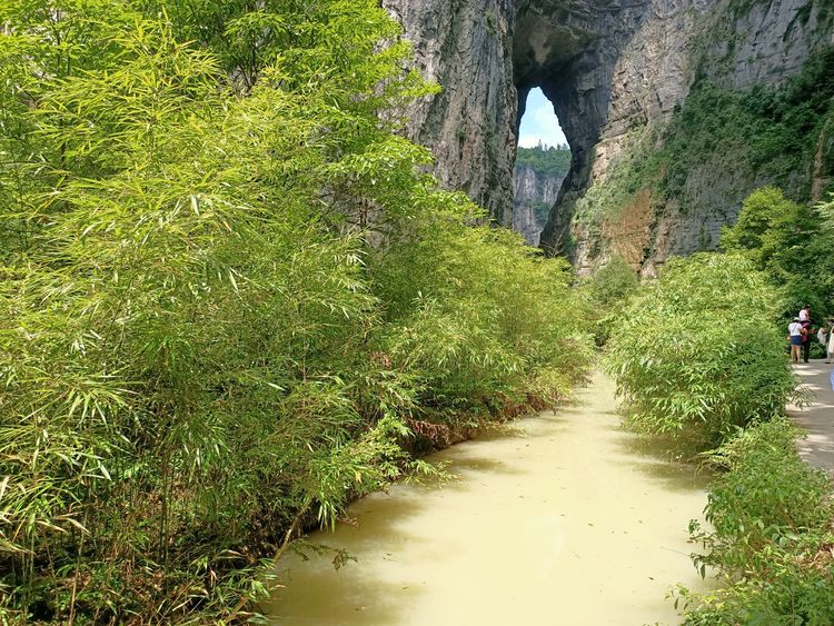 大美武隆仙女山,畅游重庆武隆区仙女山