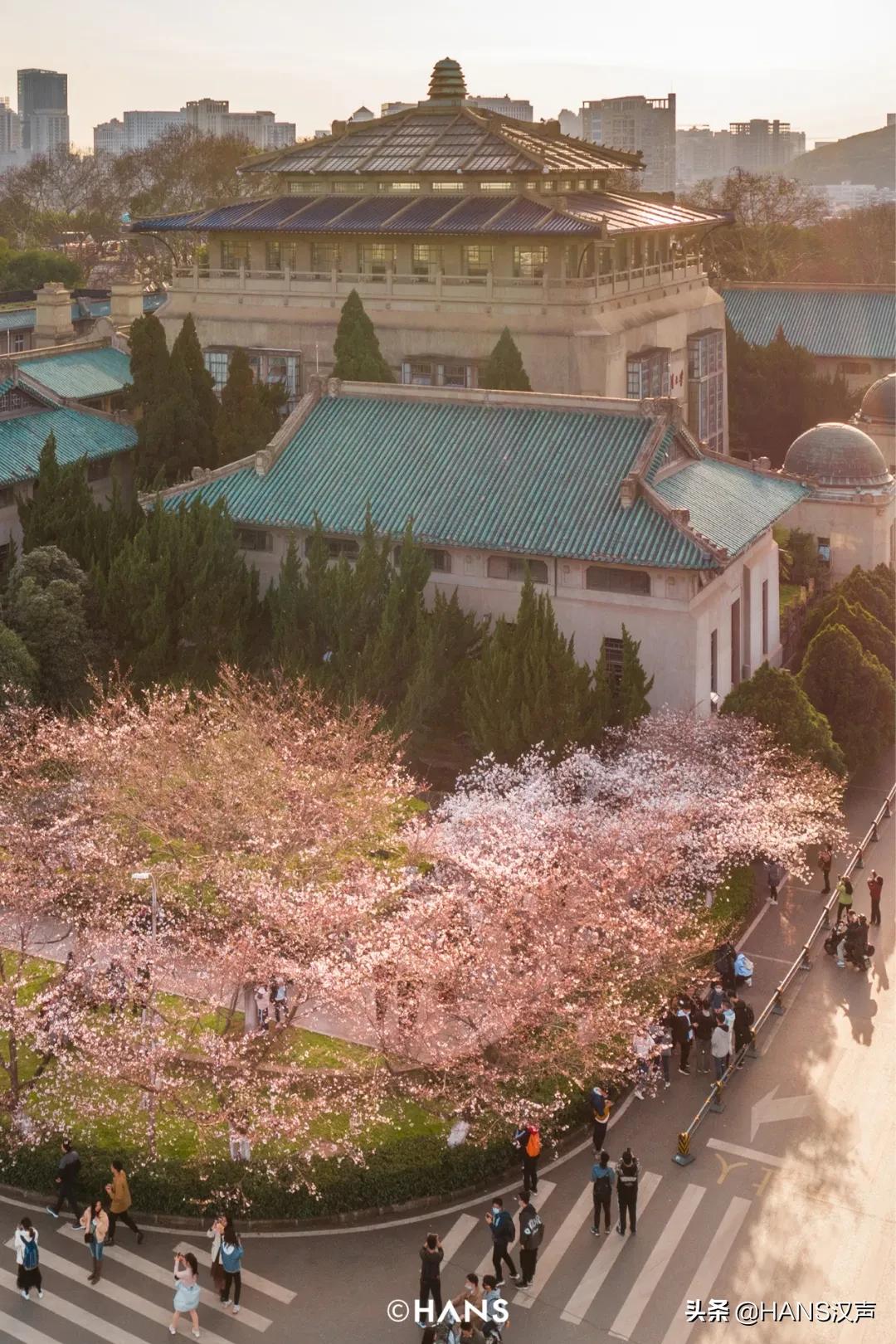 武汉高校vs西安,武汉高校vs长沙高校