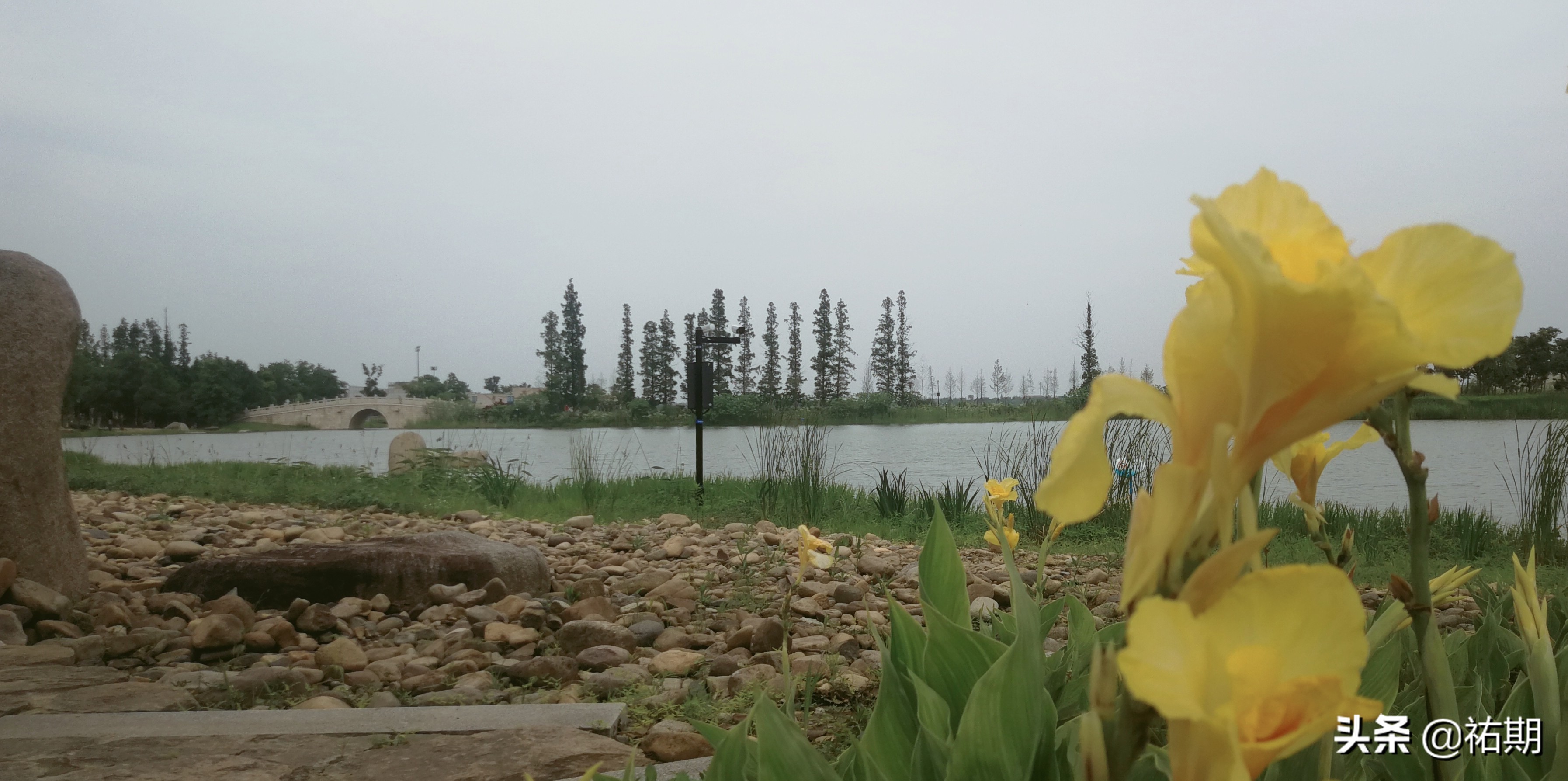 你的微信号可以换吗,是不是可以更改微信号了