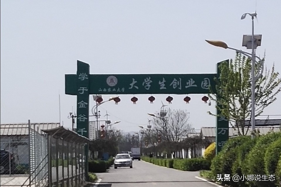 美如画的农场,美如画的生态园