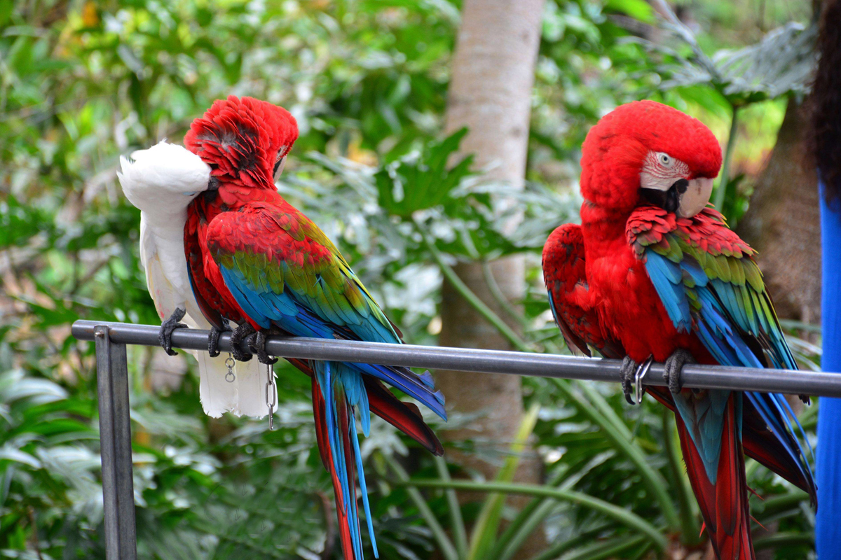 三亚三日游攻略必去景点,三亚除了呀诺达还有什么值得玩