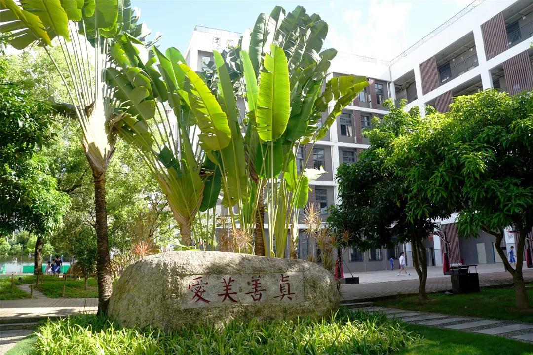 深圳市教育均衡优质高质量发展,深圳基础教育综合改革试验区