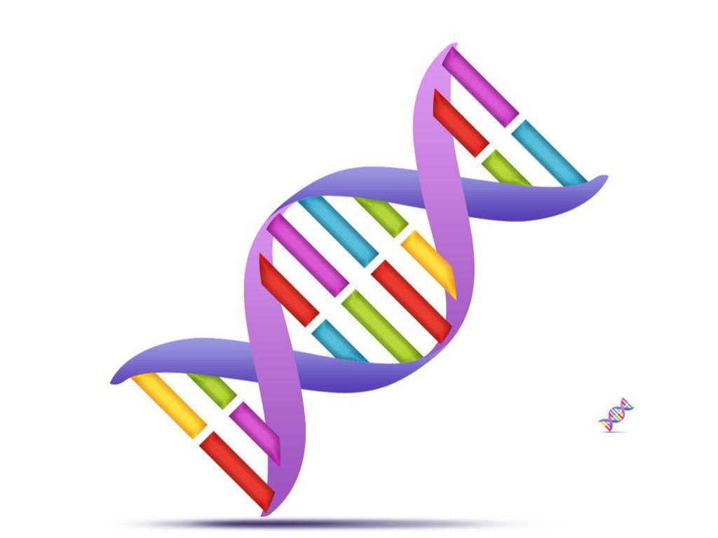 先天性高胰岛素血症什么原因导致,先天性高胰岛素性低血糖