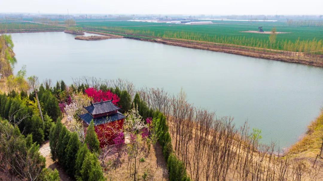 4月的正确开启方式,四月怎么开荷花