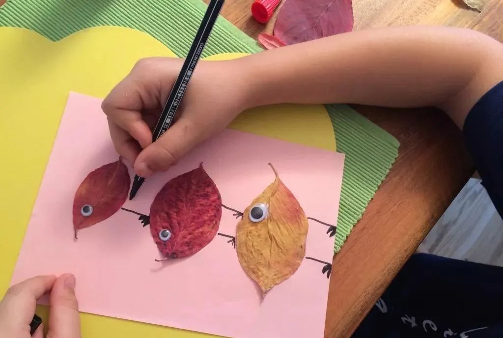 有多少种各种各样的小动物呢,用落叶做可爱的小动物