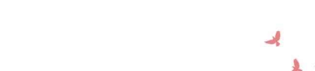 鎭幙娉曢櫌娉曡,鎭幙鍗庝附杞韩