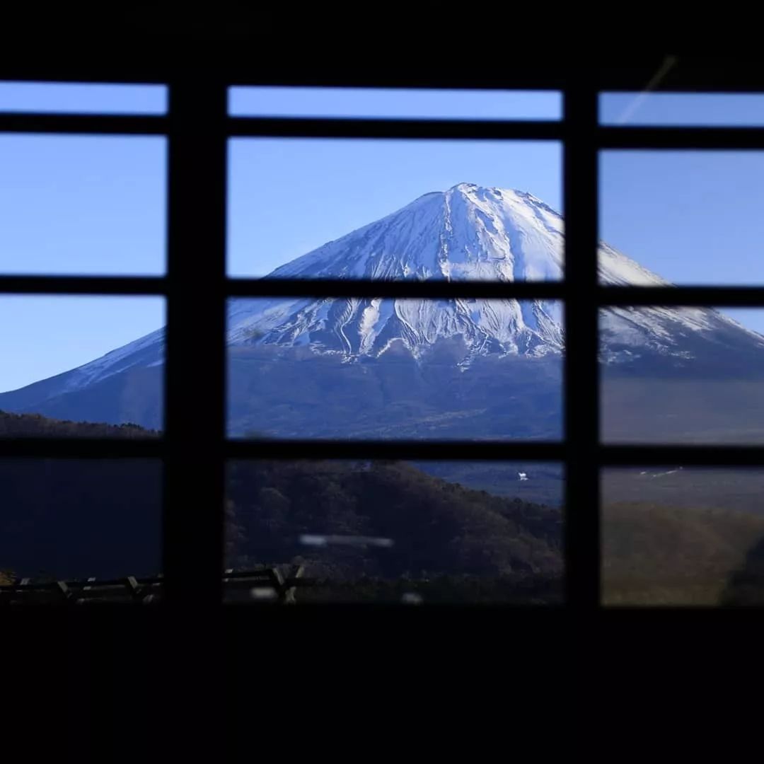 养老手游2020,月兔手游攻略