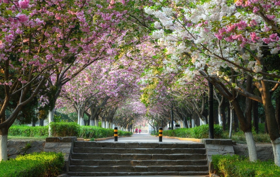 大专专业不好该干什么行业,大专专业不好可以学什么技能