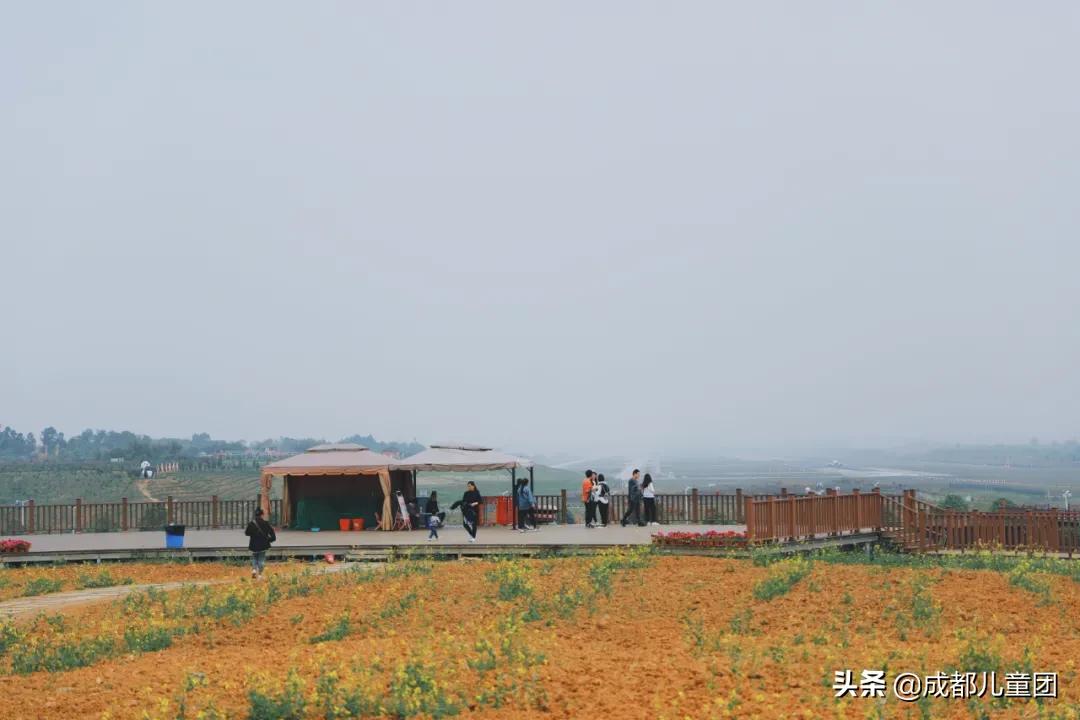 空港运动公园游玩攻略,空港体育公园是空港花田吗