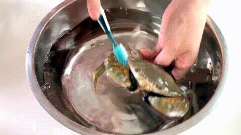 海边螃蟹几月份最好吃,8月份吃啥海螃蟹好吃