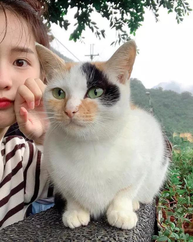 四百万粉丝眼中的“泰国最美初恋”长这样！看一眼就像谈了场恋爱