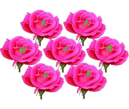 520祝福语表达爱意句句温馨美好,520祝福语送给最在乎的人