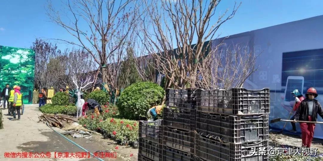 南湖，武清的天使之泪2.0版