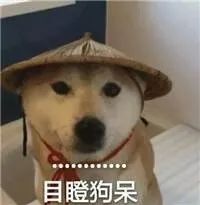 老实人要懂冷漠,老实人要如何学会说话