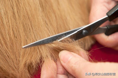头发枯燥无光泽吃什么药,头发枯燥无光泽家庭小妙招