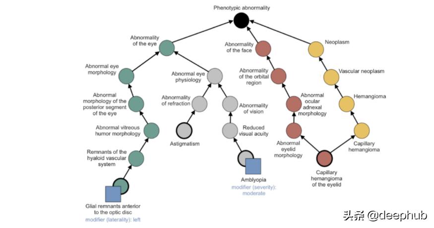 图神经网络基础前沿应用,图神经网络的概述