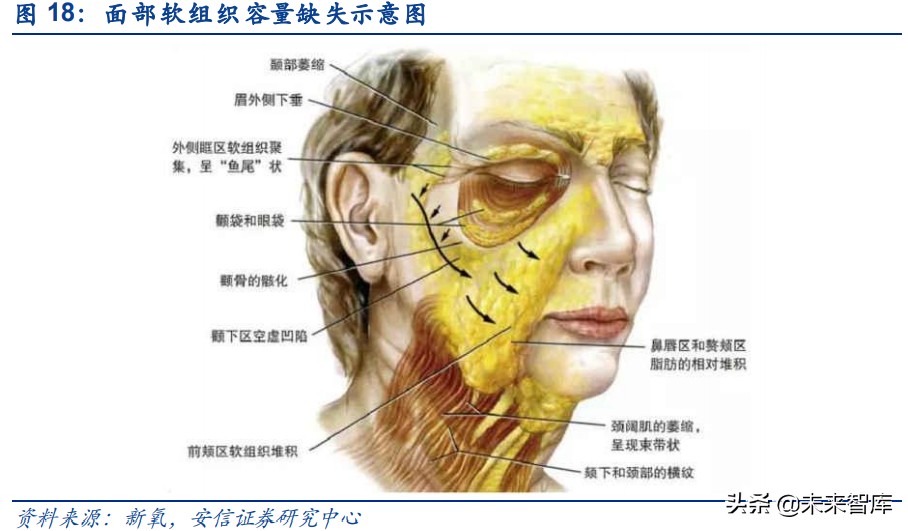 胶原蛋白在大健康行业的应用,胶原蛋白的新材料