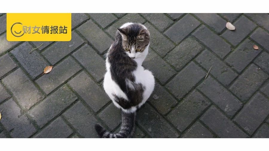 8%收益到底有多难,一年10%的收益率有多可怕