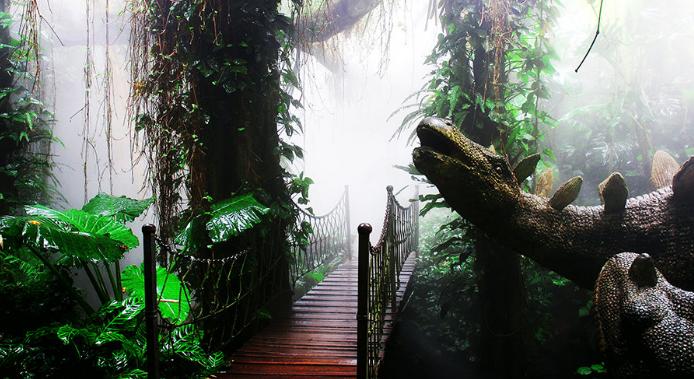 青青世界深圳好玩吗,深圳青青世界要门票吗