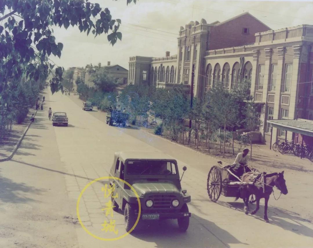 1987旧时回忆,1980呼和浩特怀旧经典老照片