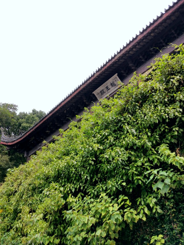 绍兴越王山的历史传说,绍兴古越龙山风景区