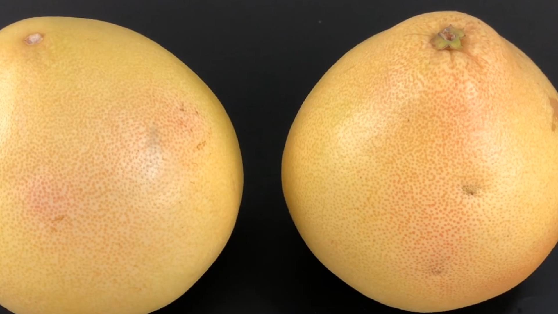 秋季时令水果的好处和注意事项,秋天哪些应季水果吃了对身体好