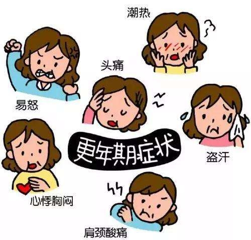 我的妈妈是怪物后续,我的妈妈是怪兽