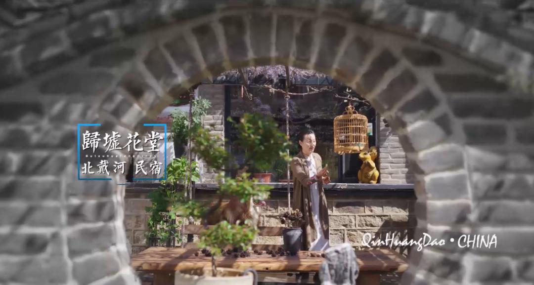 秦皇岛宣传片,2021秦皇岛旅游发展大会宣传片