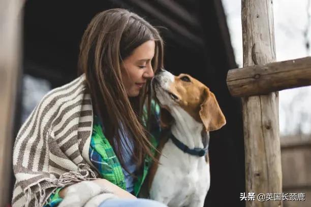 羊驼忧郁症,羊驼抑郁症治疗