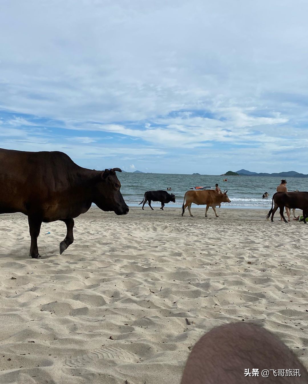 香港露营基地推荐,香港露营住宿攻略