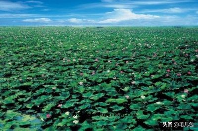 旅游｜一位全球巨星的家乡，一位文艺老人的一生