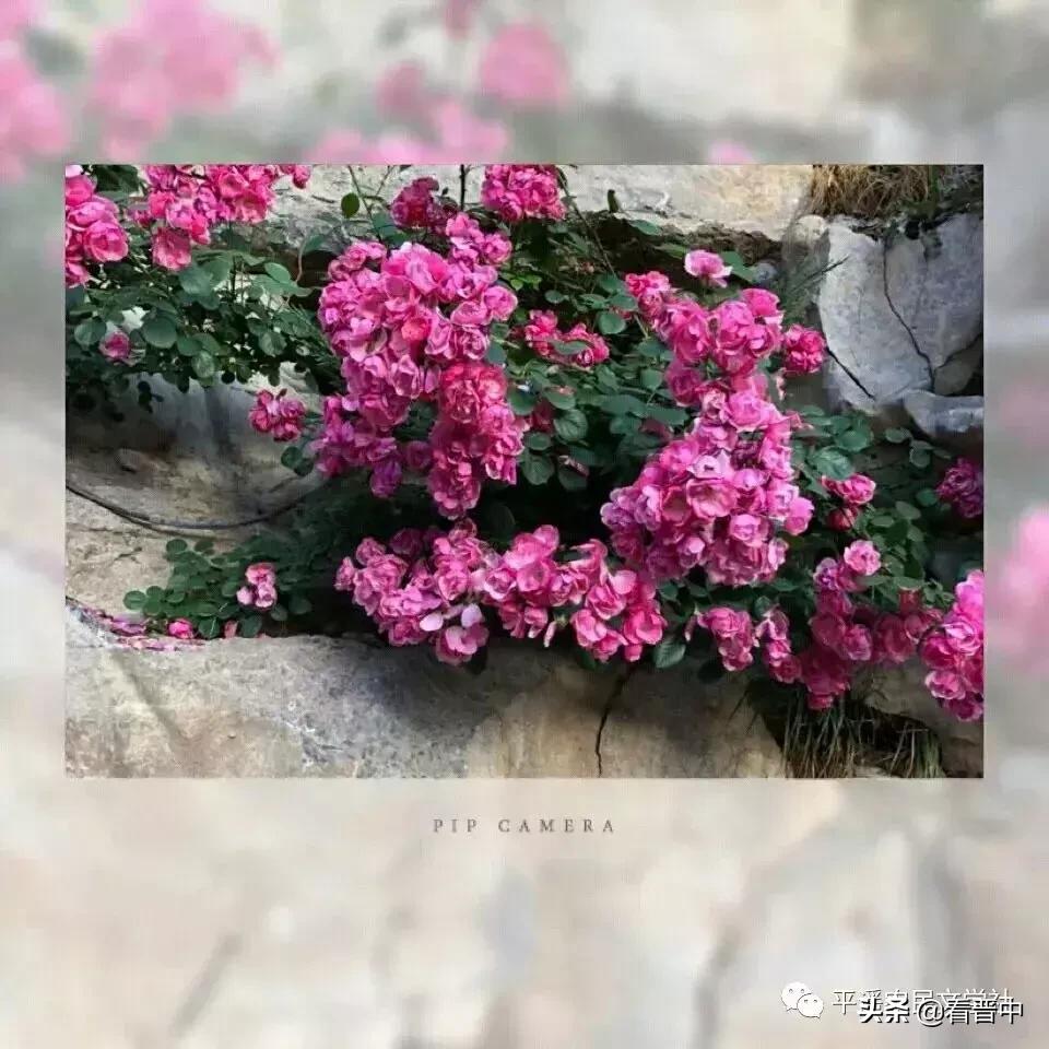 晋中婚宴,晋中旅行图文日记