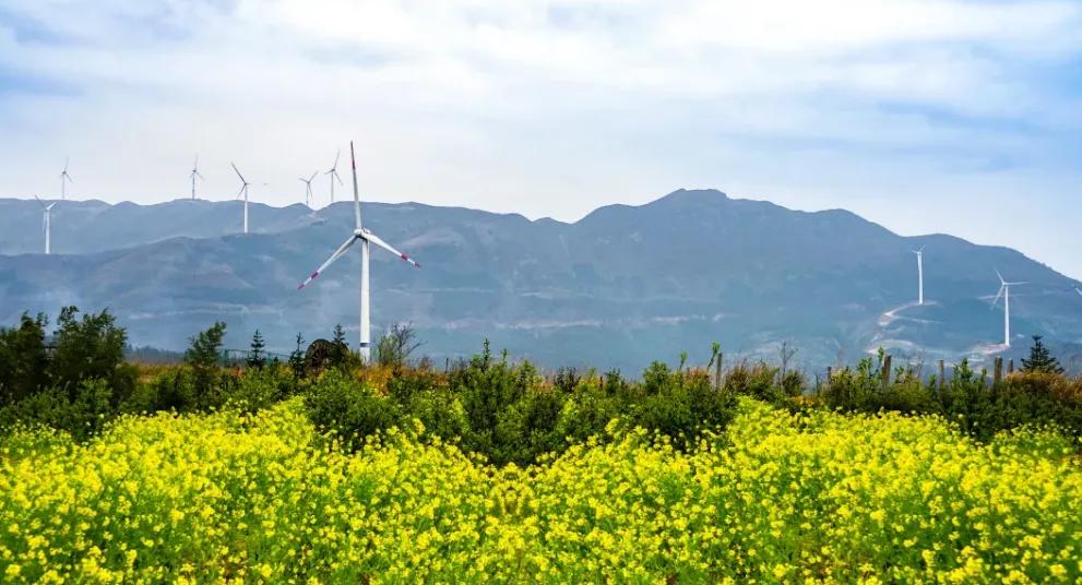 在关键的领域找到关键的问题,国家电投抗疫