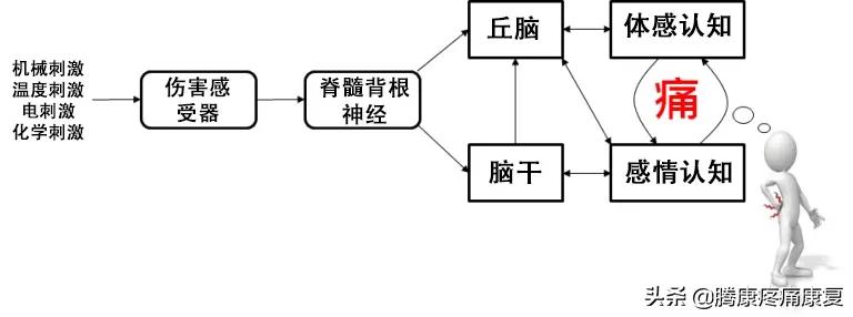 中风后，疼痛都从哪来