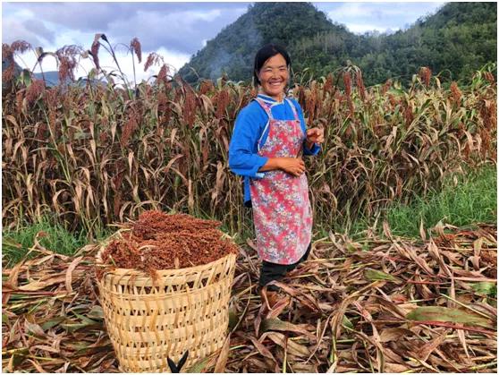 国台凭何领航商业生态?以“聚-合-通””缔结共享共赢的价值纽带