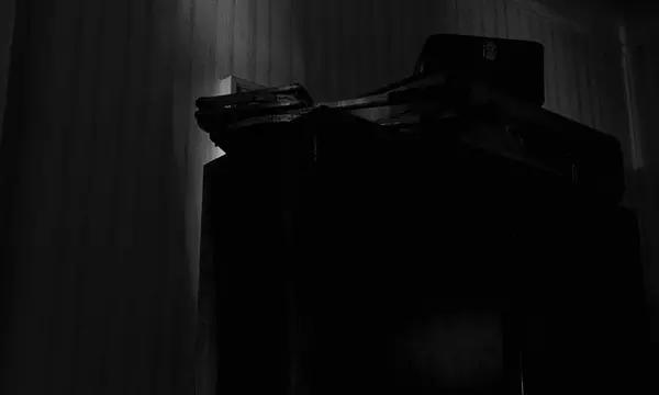 在这部片中,波兰斯基拍出了也许是影史上最传神的女精神病患者