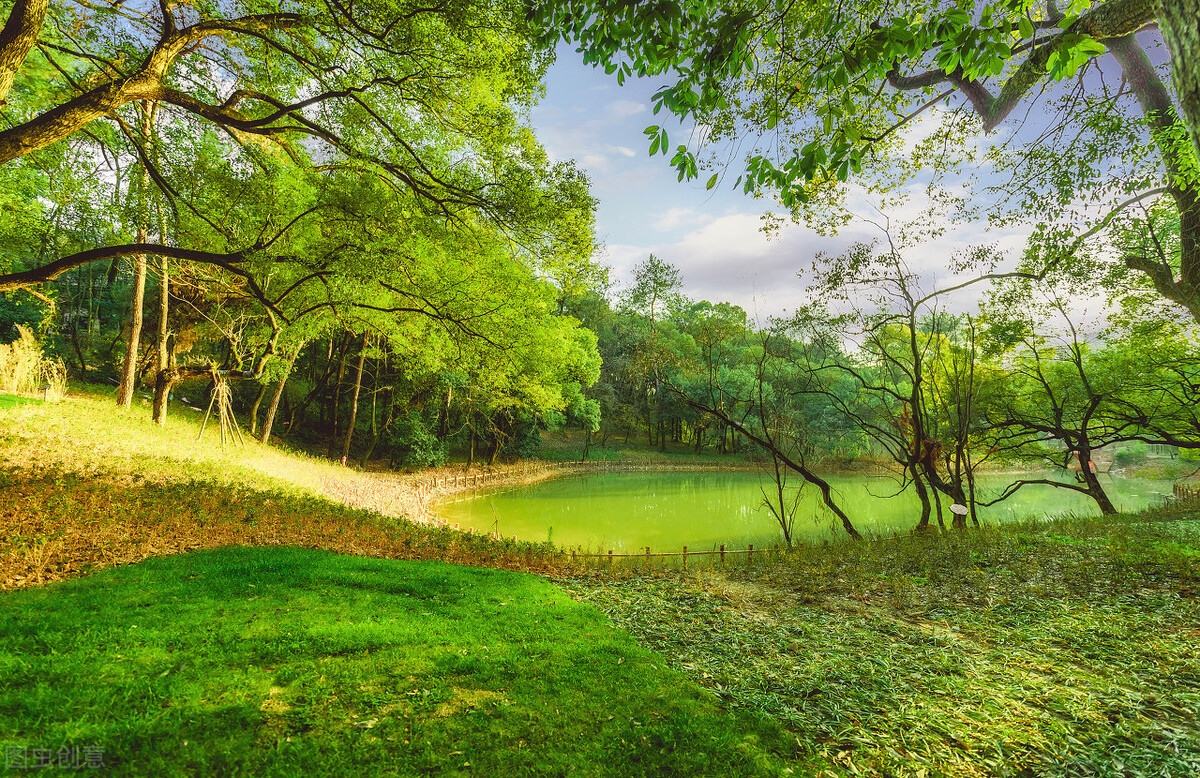 微小说意料,微小说意外的休妻