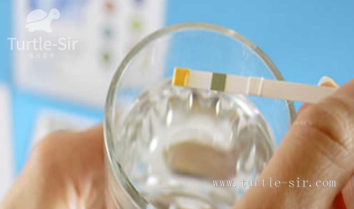 养龟之道如何掌握适宜龟缸水位,养龟如何判断龟缸水质好坏