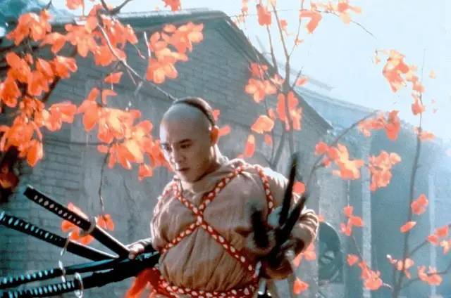 李连杰最能打的一部电影,李连杰十大经典动作片