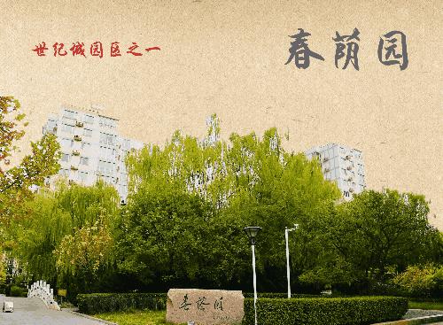 不想将就也不想安于现状,不想将就所以还是选择了将就