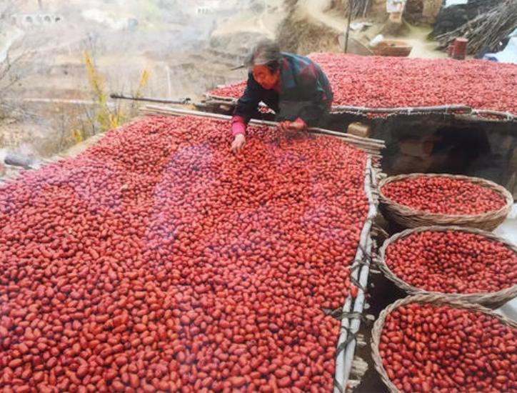 红枣是泡水好还是直接吃更有营养,红枣馒头的红枣要不要洗