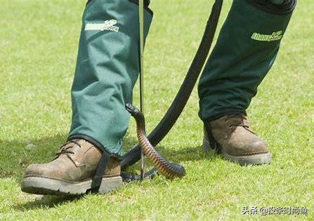 58种袜子类型介绍，买袜子不再迷茫了，超详尽的袜子大百科来了