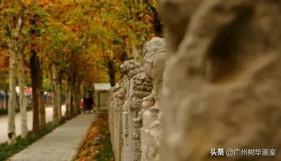 九大美院教育专业考研,九大美院最好考的学校