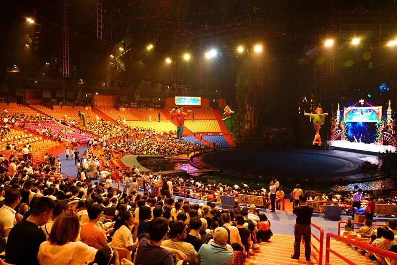 广州旅游攻略长隆动物世界,亲子游广州长隆动物园