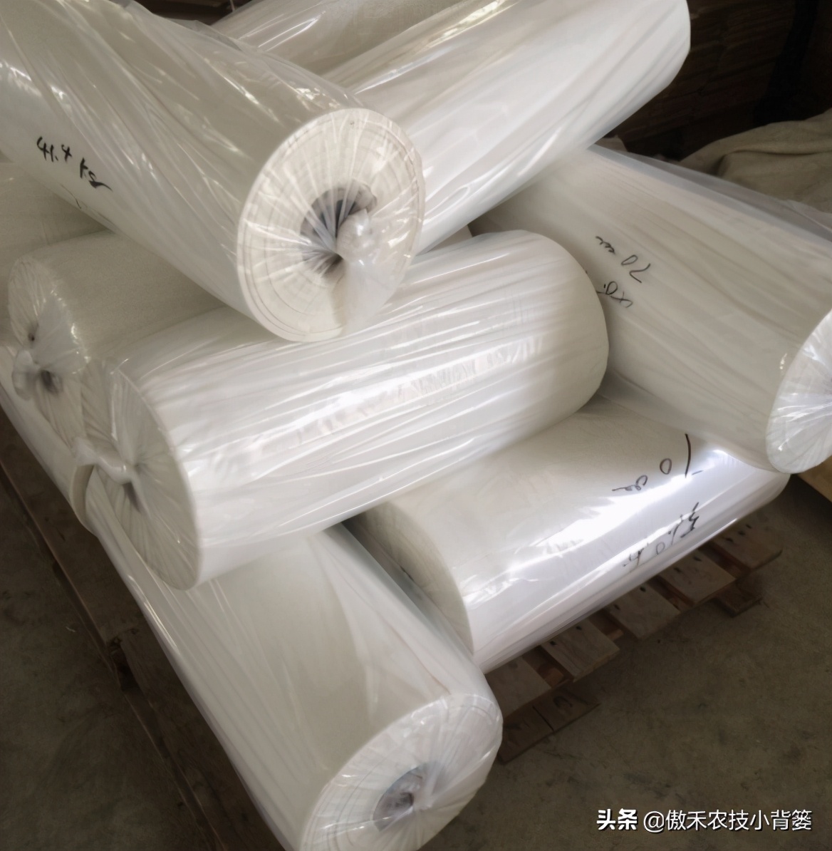 盖地膜怎么选颜色,大棚地膜用什么颜色的好