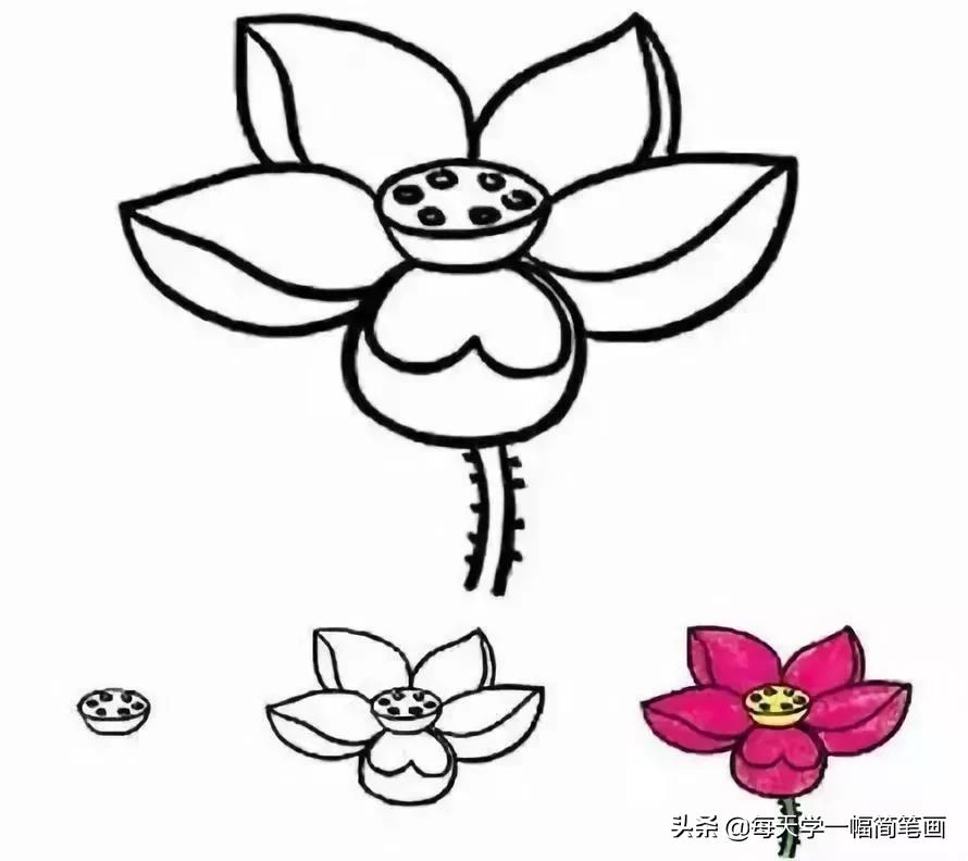 儿童海底动物简笔画大全简单,从海面到海底的简笔画