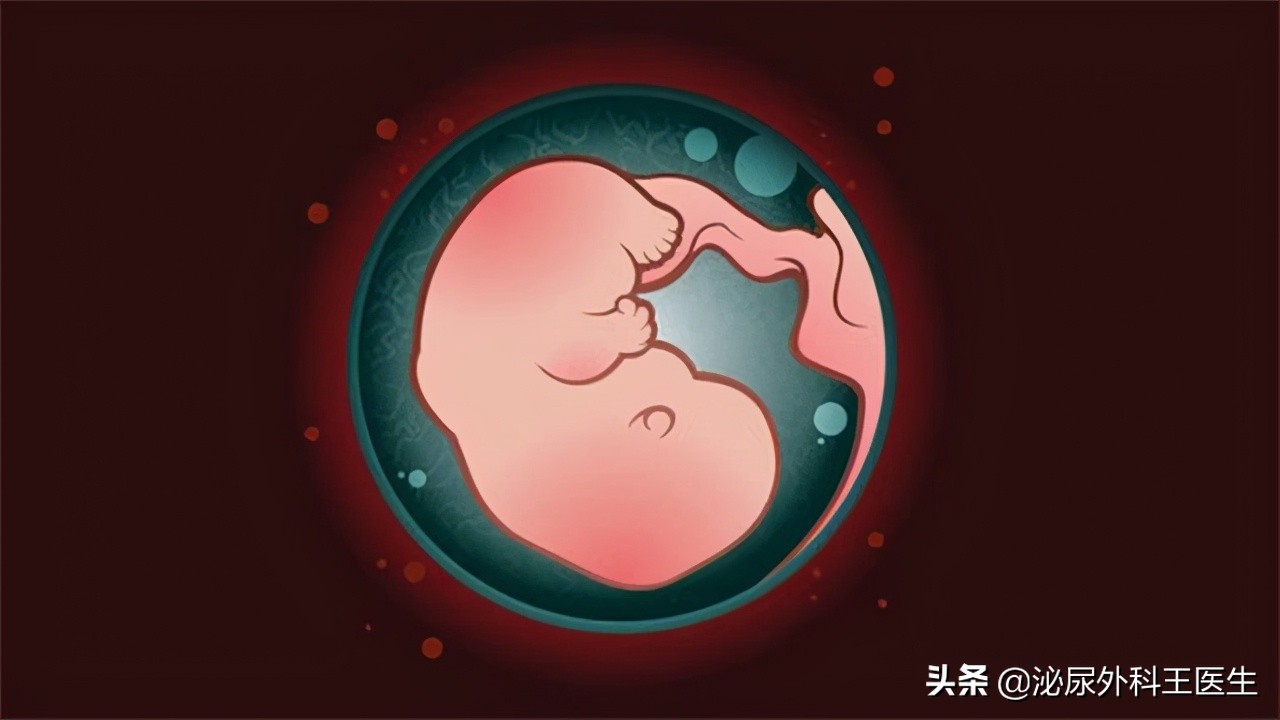 性病“梅毒”是如何横扫世界？